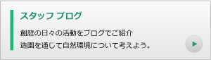 スタッフブログ