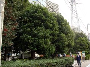 施工例1