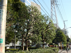 施工例2