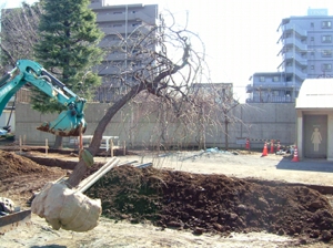 施工例5
